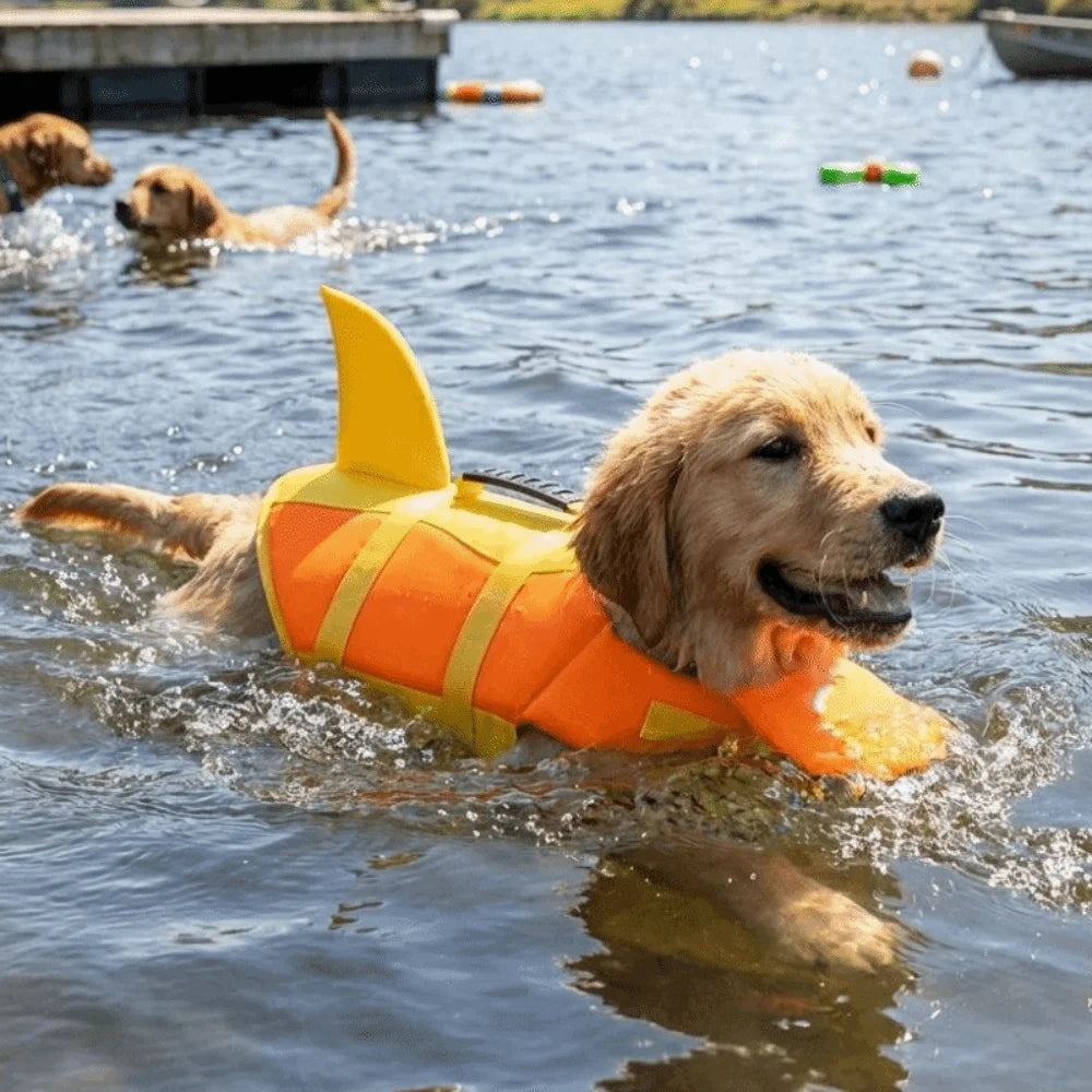 Perro con el chaleco tiburón naranja en el agua