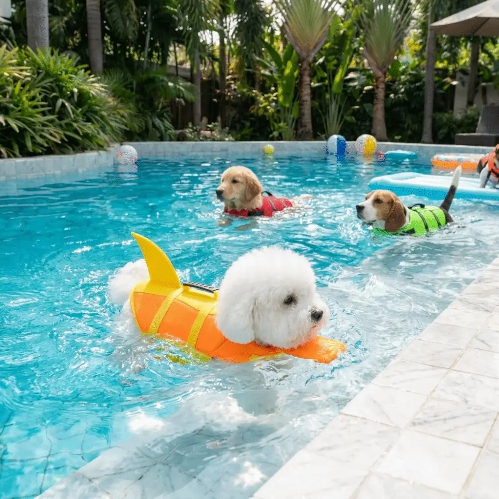 Perros con chalecos en la pileta