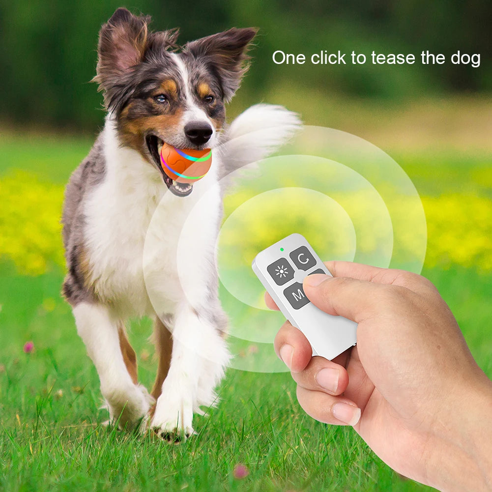 Pelota inteligente para perros y gatos