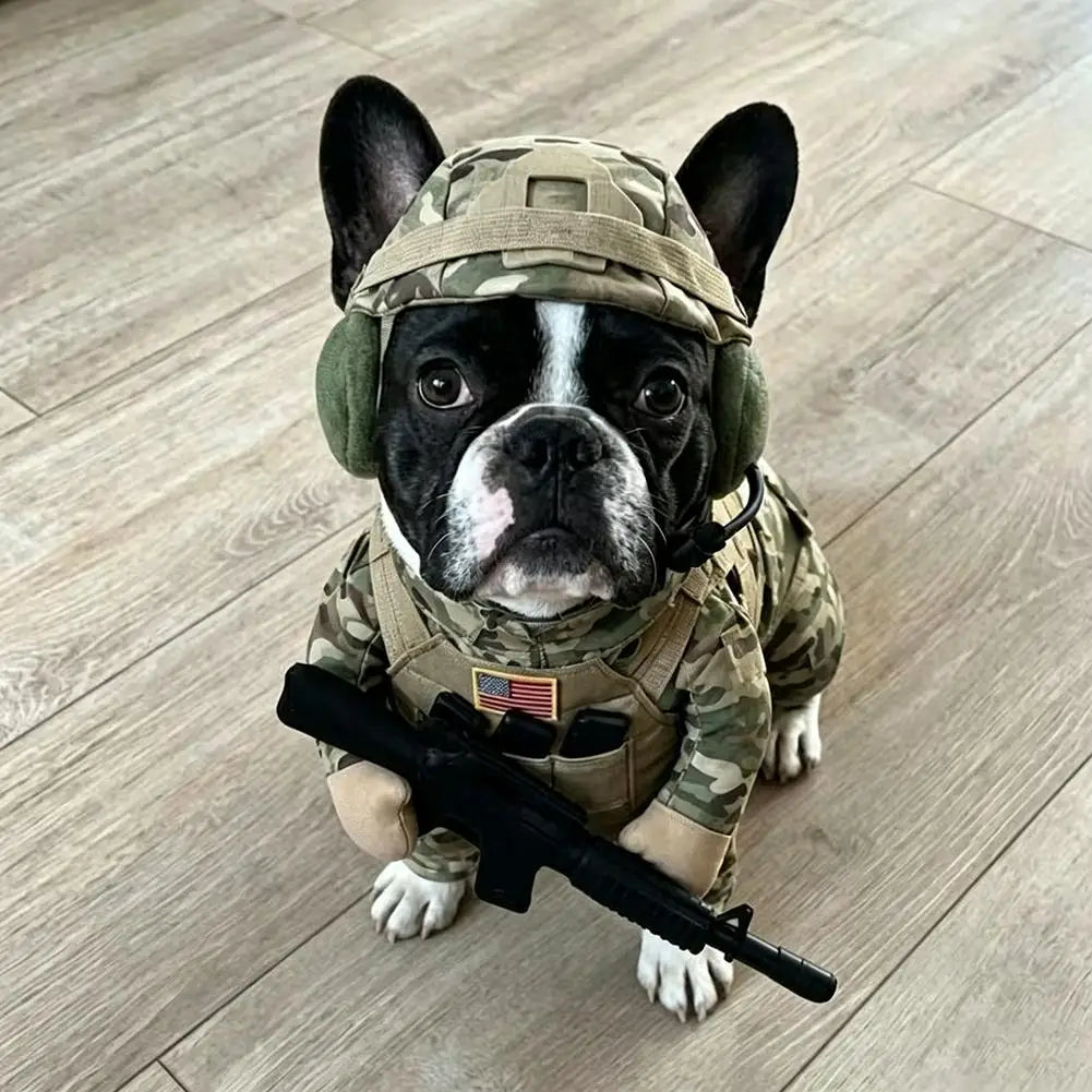 Bulldog francés sentado con el disfraz de camuflaje