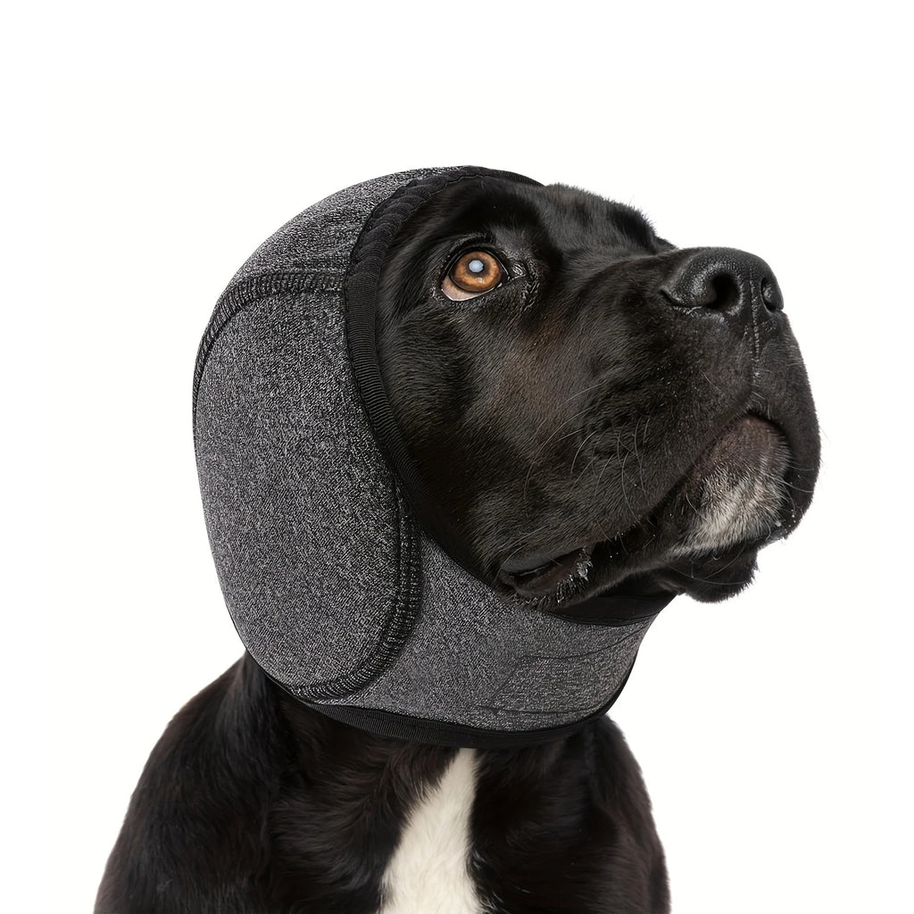 Perro negro con cubreorejas ajustable gris