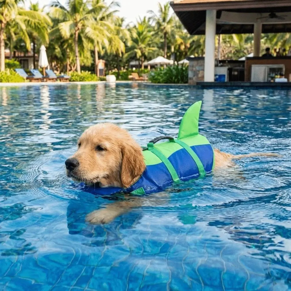 Golden retriever nadando con el chaleco tiburón azul y verde