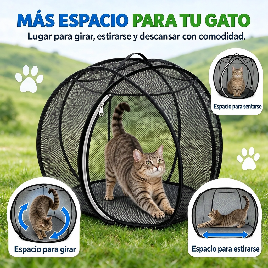 Espacio para que el gato se siente, gire y se estire